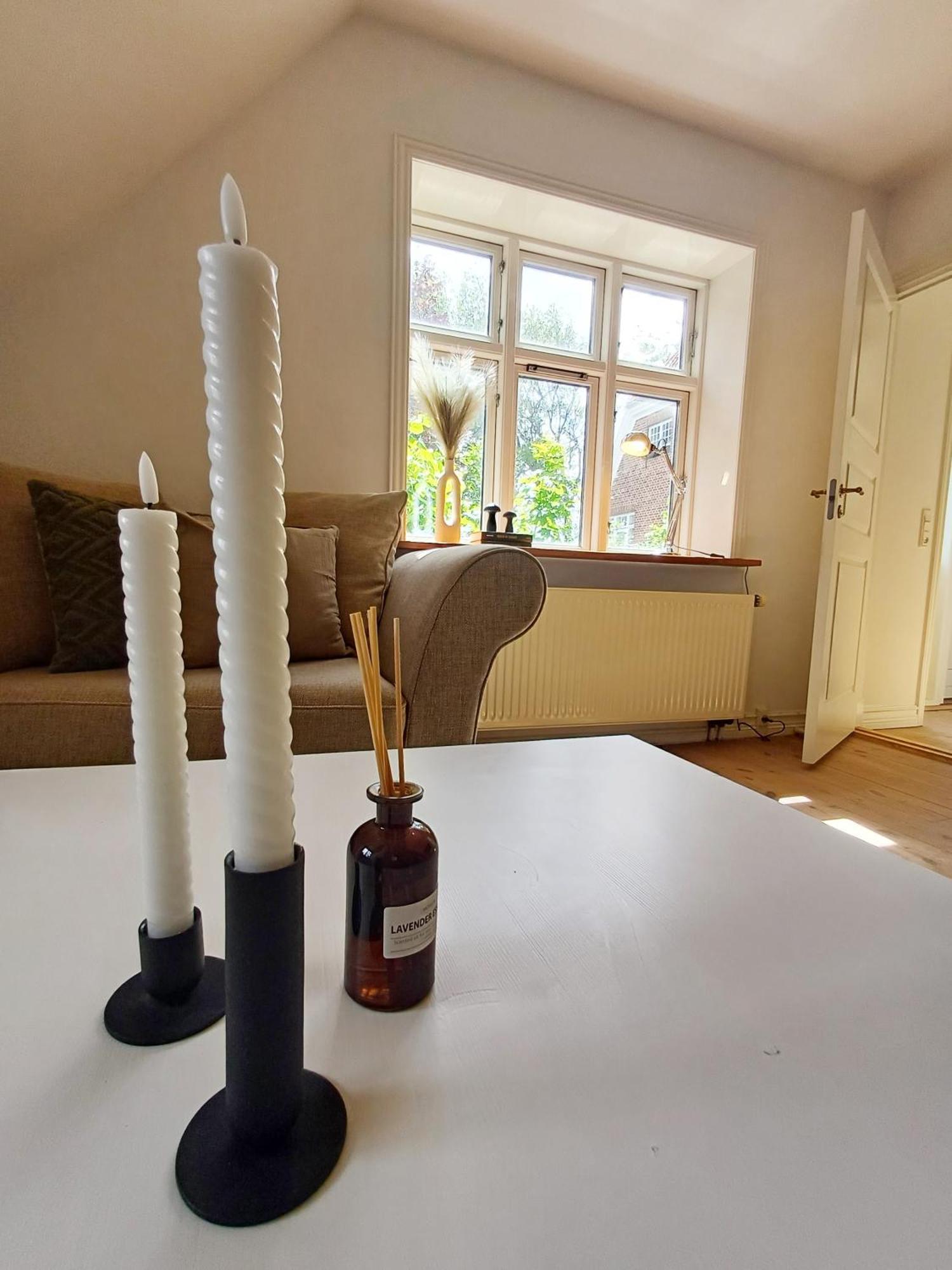 Grand Luxury Apartment In The Center Of Hoerring 约灵 外观 照片