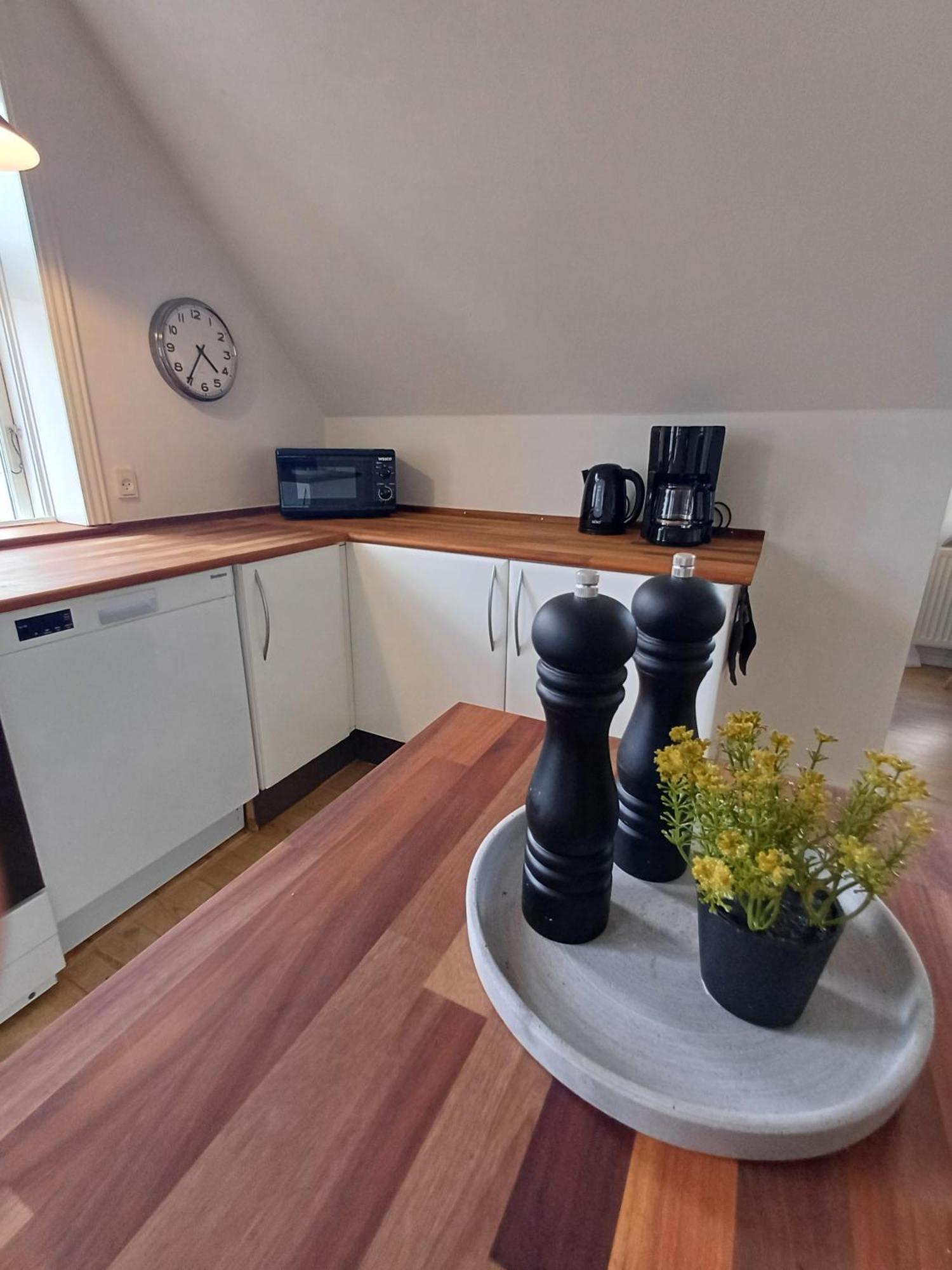 Grand Luxury Apartment In The Center Of Hoerring 约灵 外观 照片