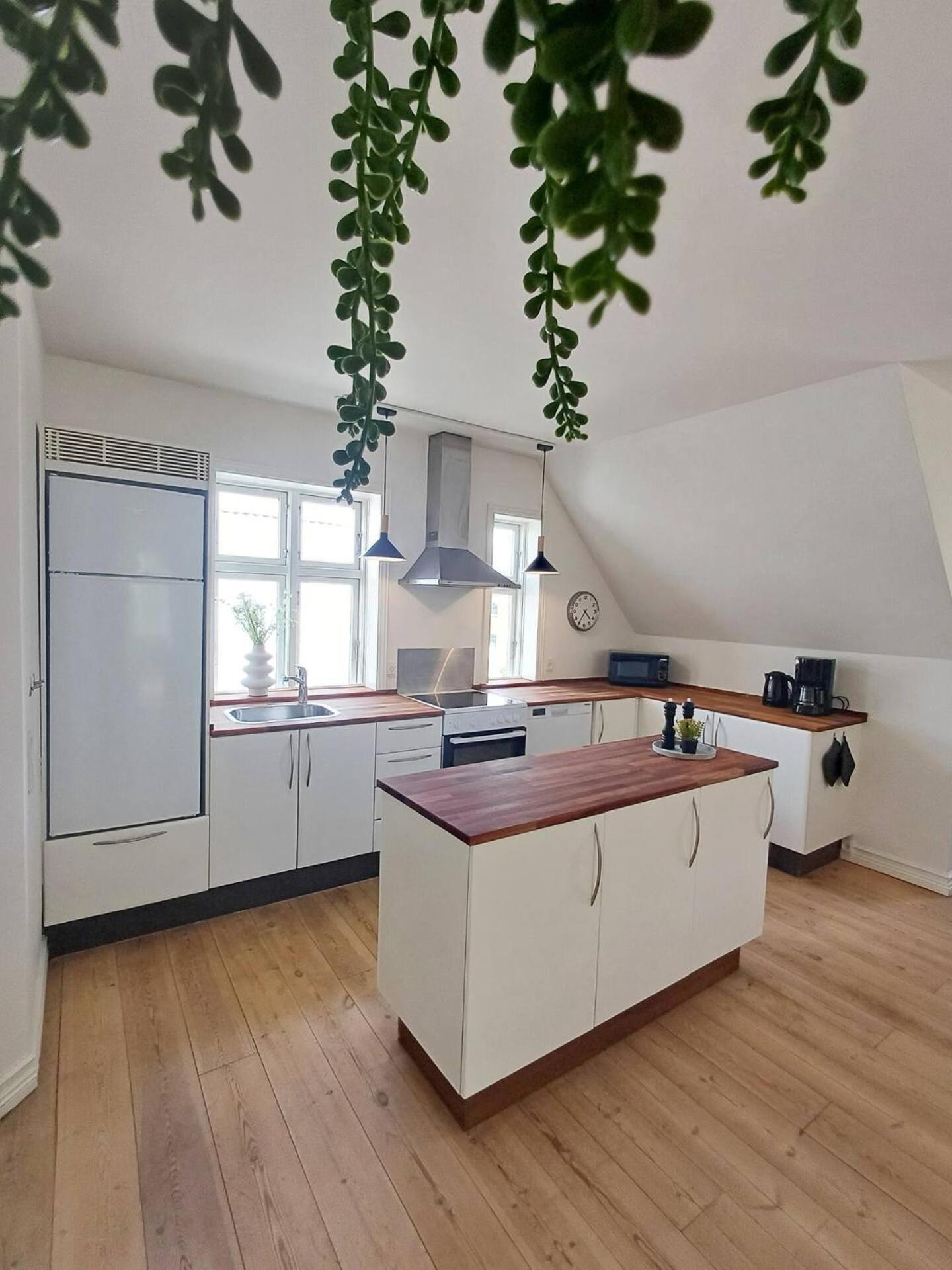 Grand Luxury Apartment In The Center Of Hoerring 约灵 外观 照片